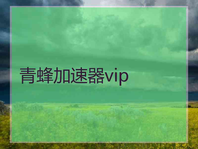 青蜂加速器vip