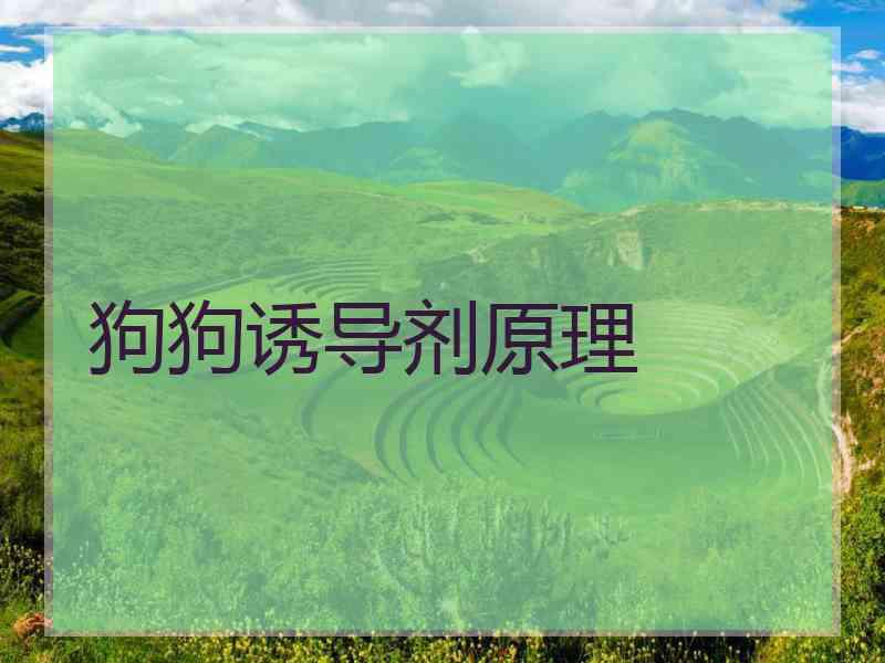 狗狗诱导剂原理