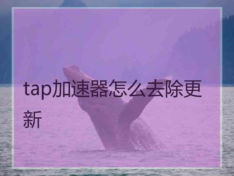 tap加速器怎么去除更新