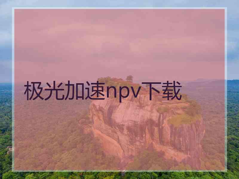 极光加速npv下载