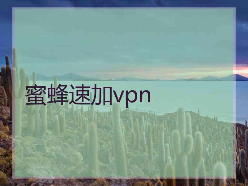 蜜蜂速加vpn