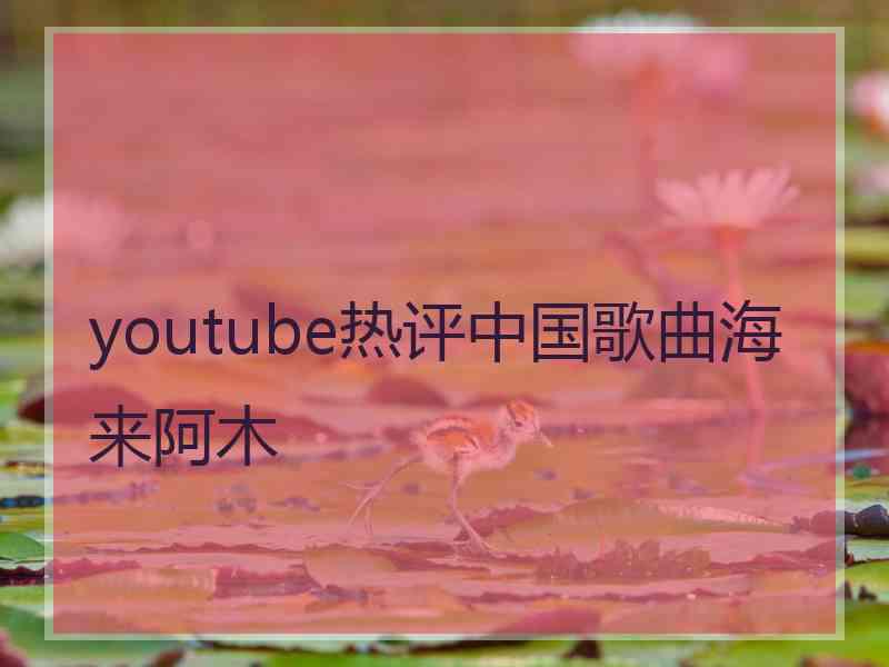 youtube热评中国歌曲海来阿木