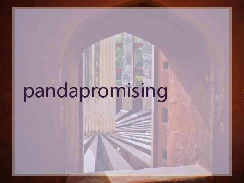 pandapromising