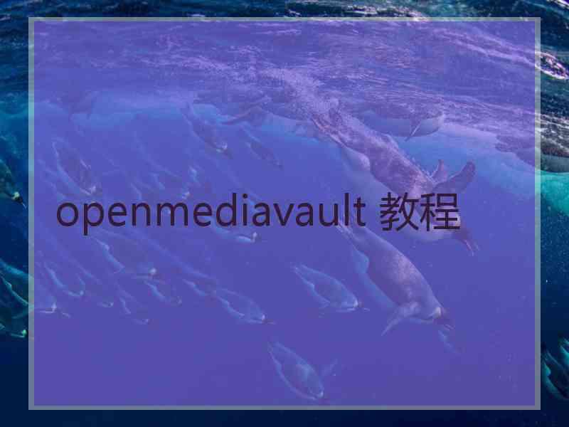 openmediavault 教程