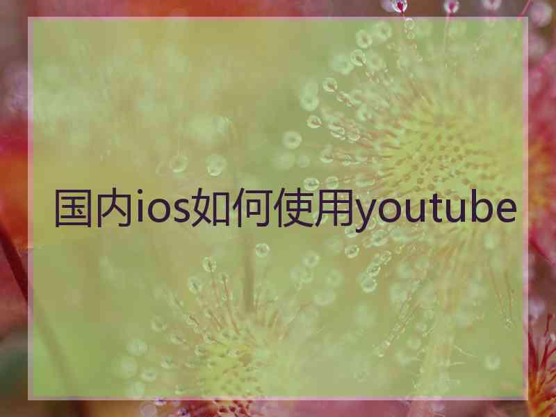 国内ios如何使用youtube