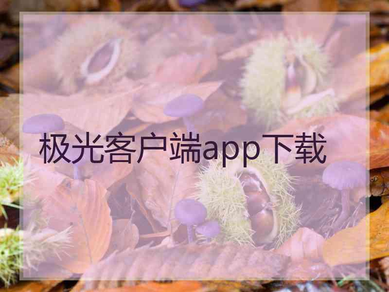 极光客户端app下载