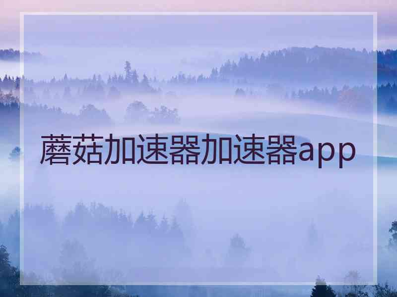 蘑菇加速器加速器app