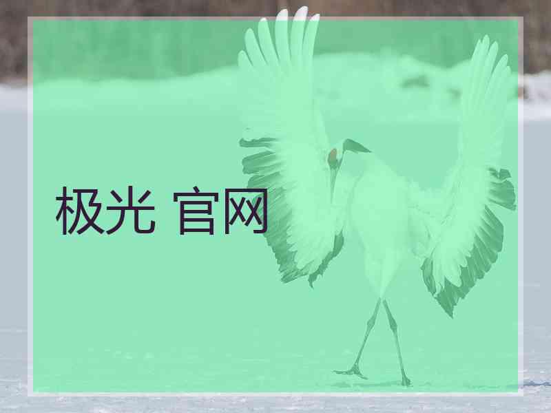 极光 官网