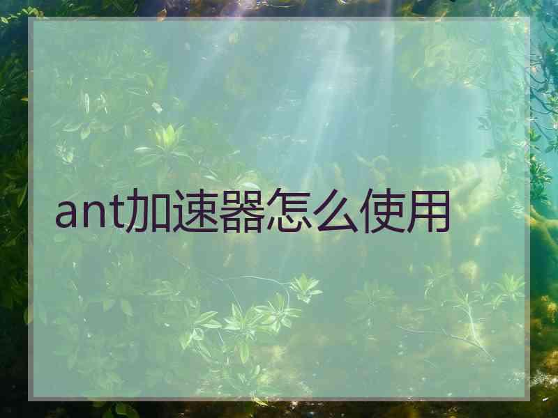 ant加速器怎么使用