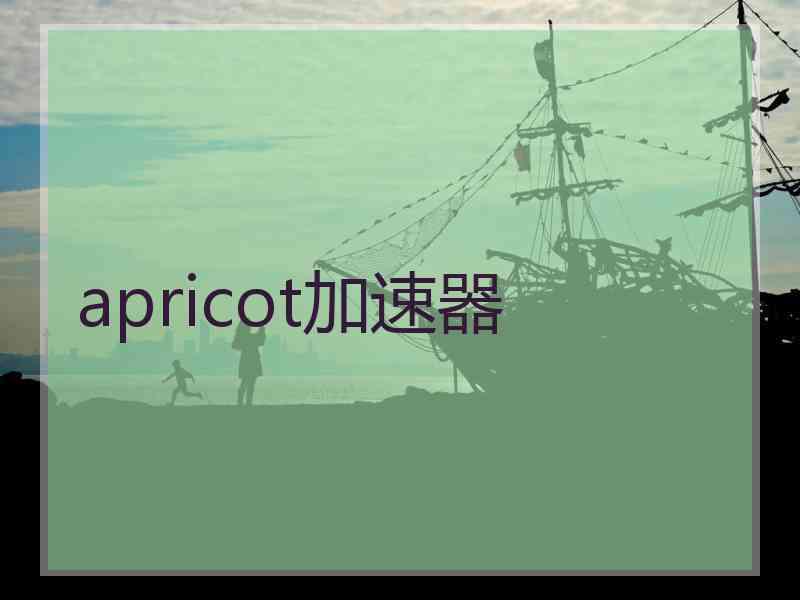 apricot加速器