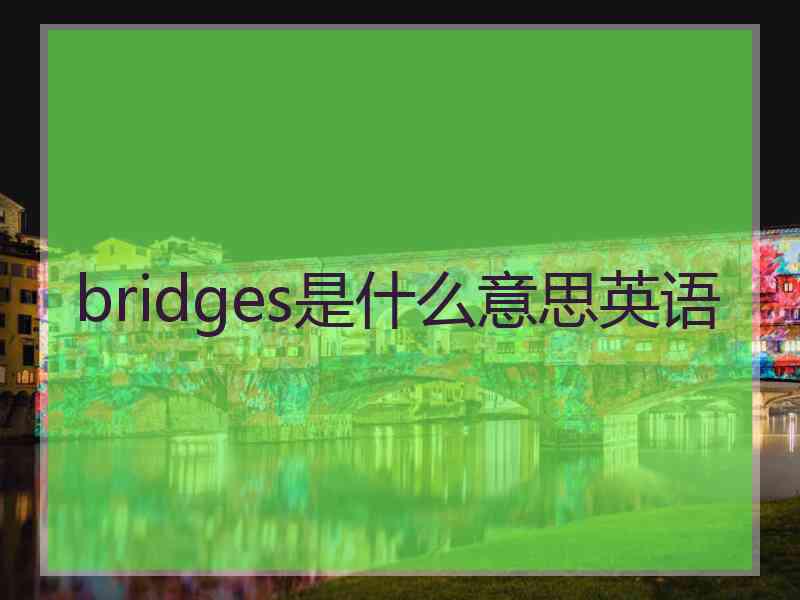 bridges是什么意思英语