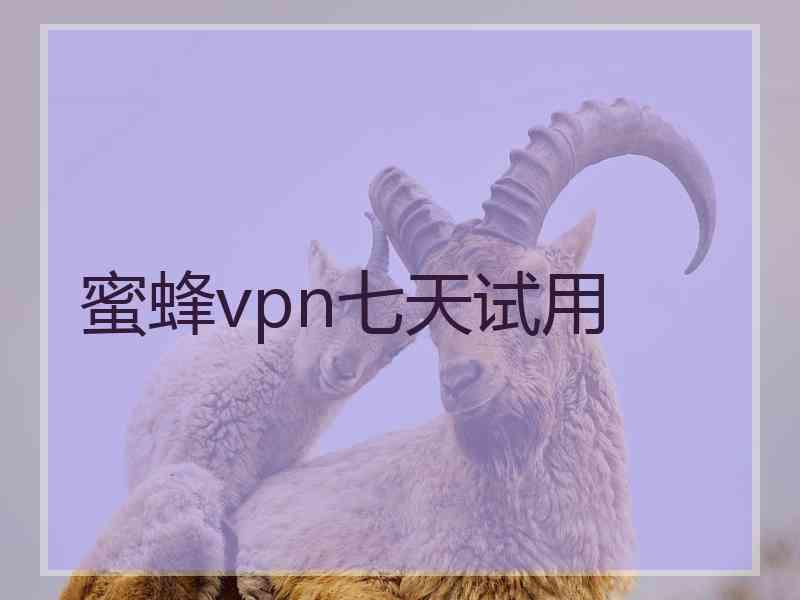 蜜蜂vpn七天试用