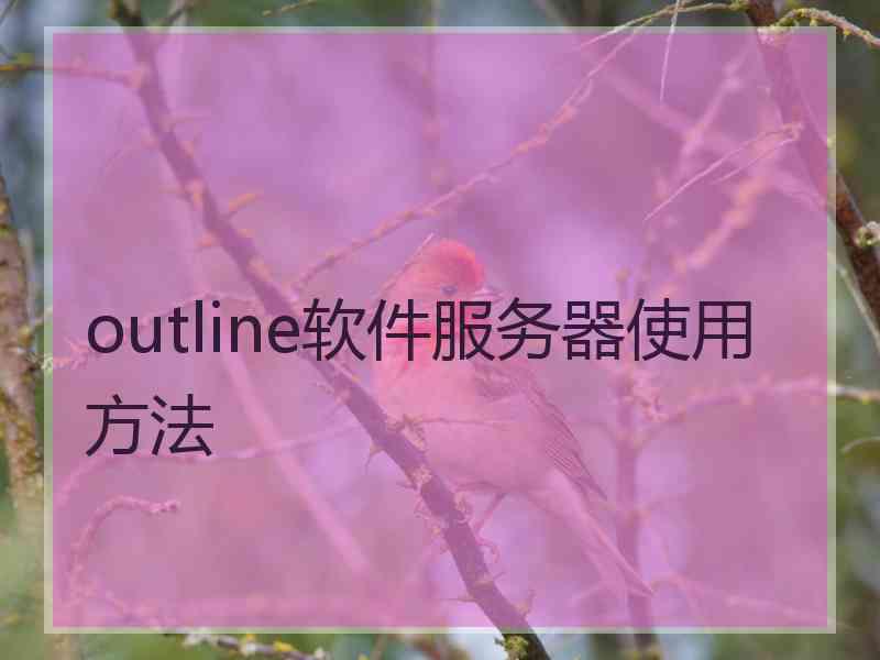 outline软件服务器使用方法