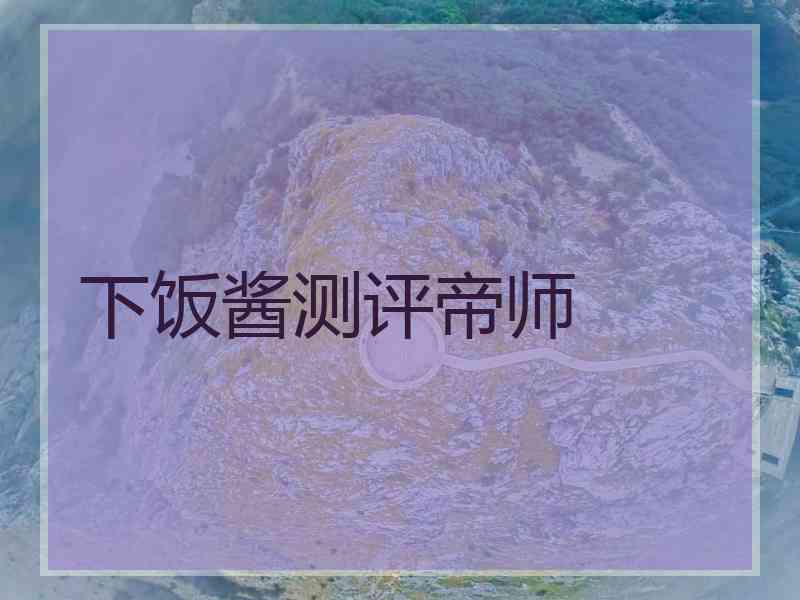 下饭酱测评帝师