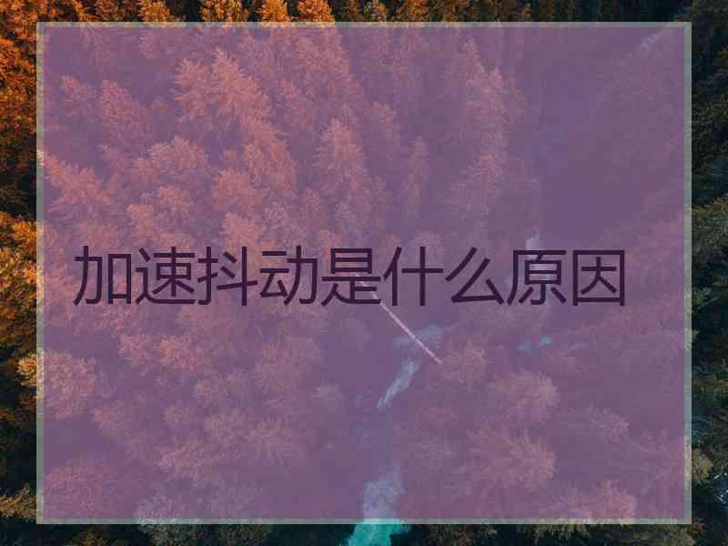 加速抖动是什么原因