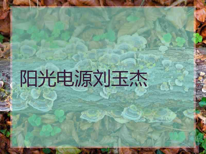 阳光电源刘玉杰