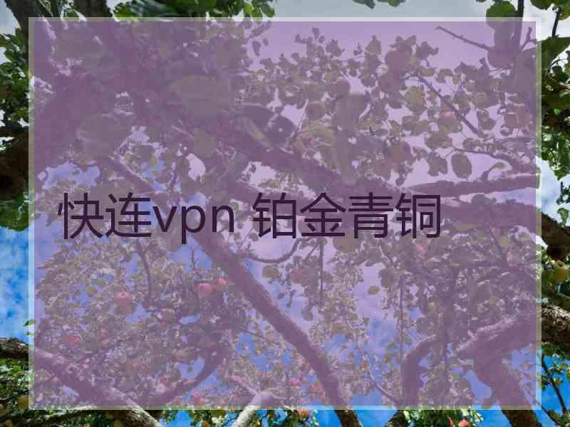 快连vpn 铂金青铜