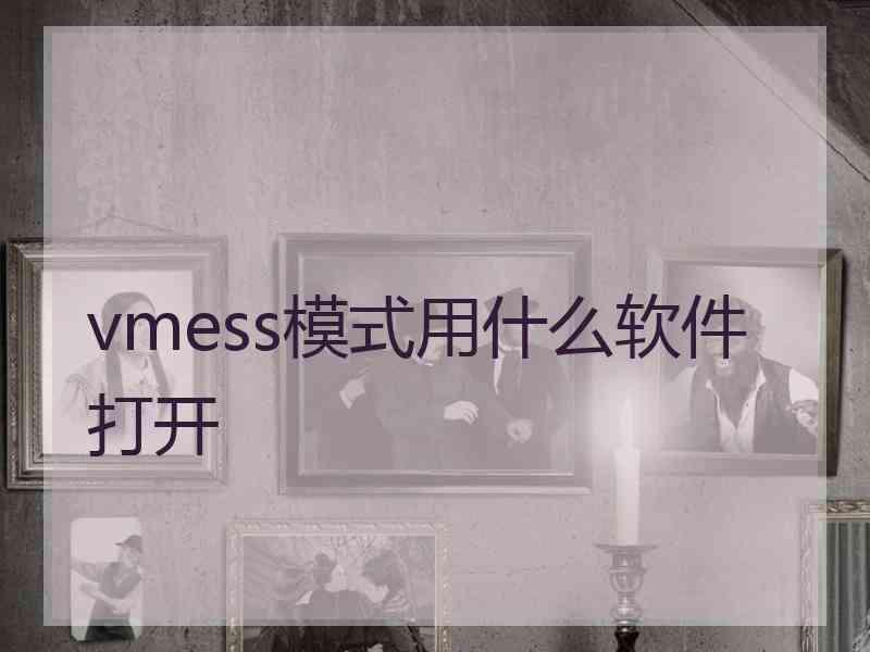 vmess模式用什么软件打开