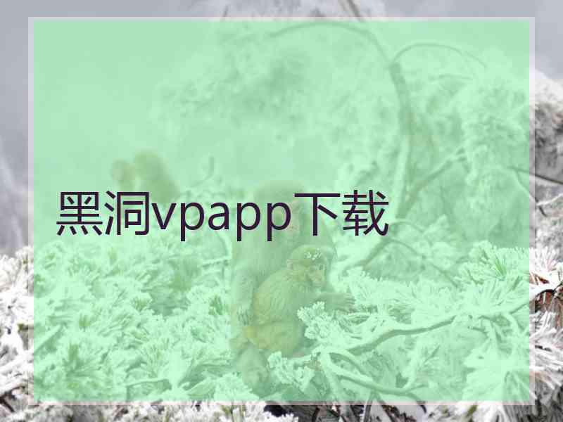 黑洞vpapp下载