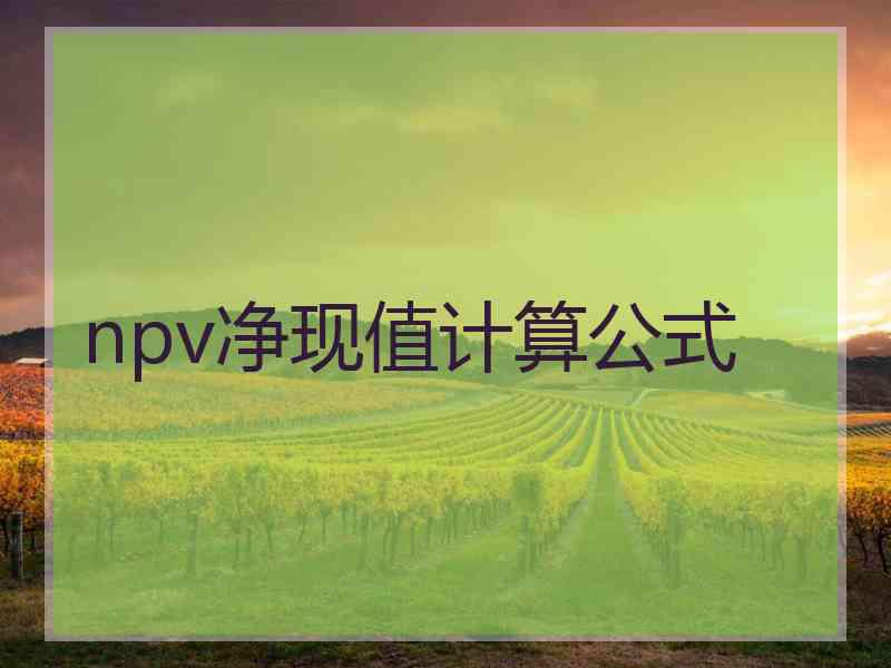 npv净现值计算公式