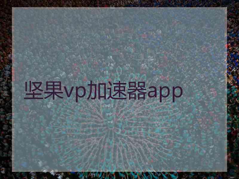 坚果vp加速器app