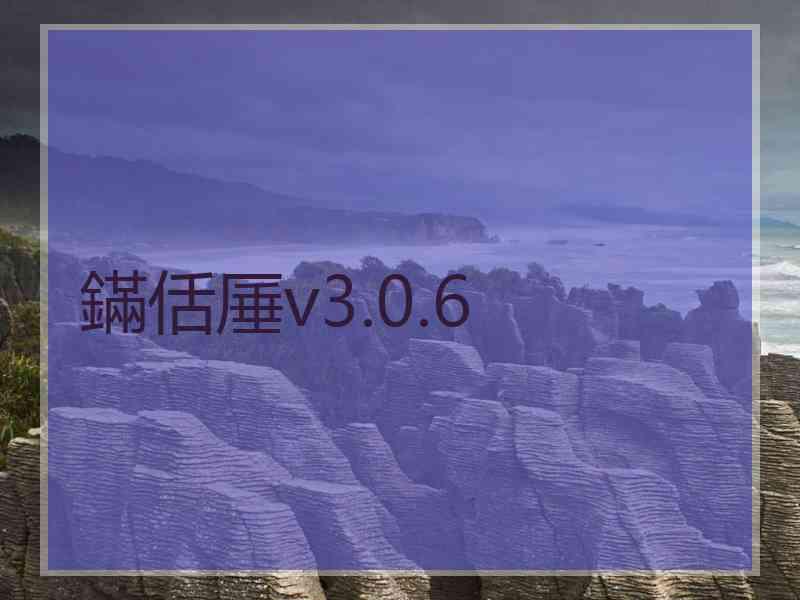 鏋佸厜v3.0.6