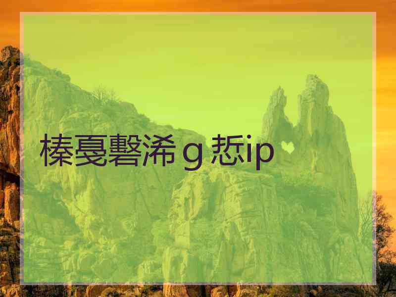 榛戞礊浠ｇ悊ip