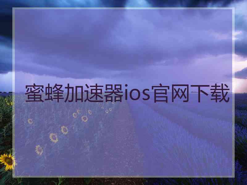 蜜蜂加速器ios官网下载