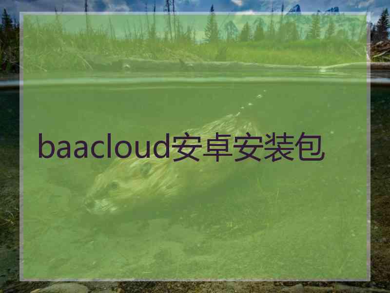 baacloud安卓安装包