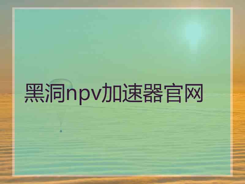 黑洞npv加速器官网