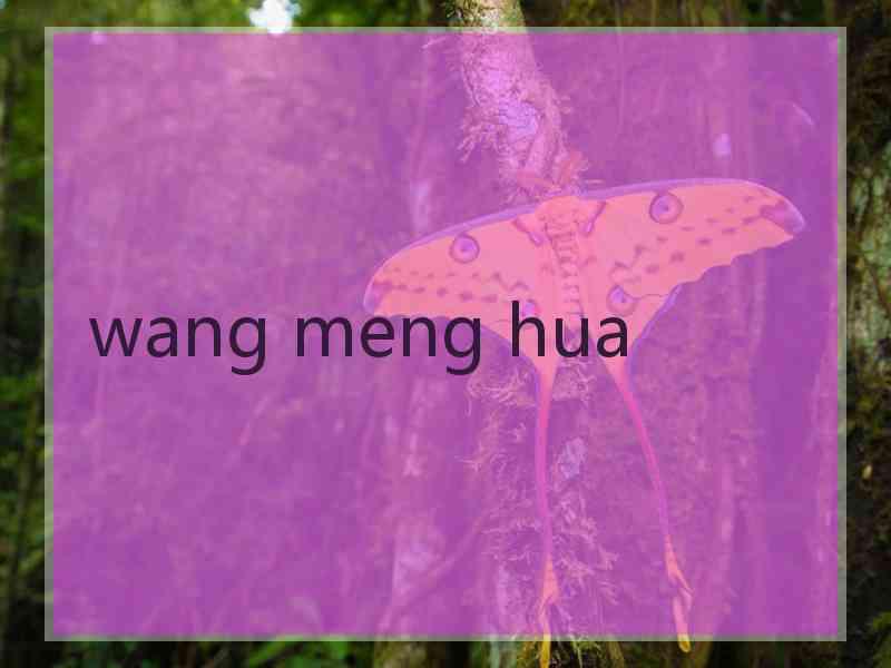 wang meng hua