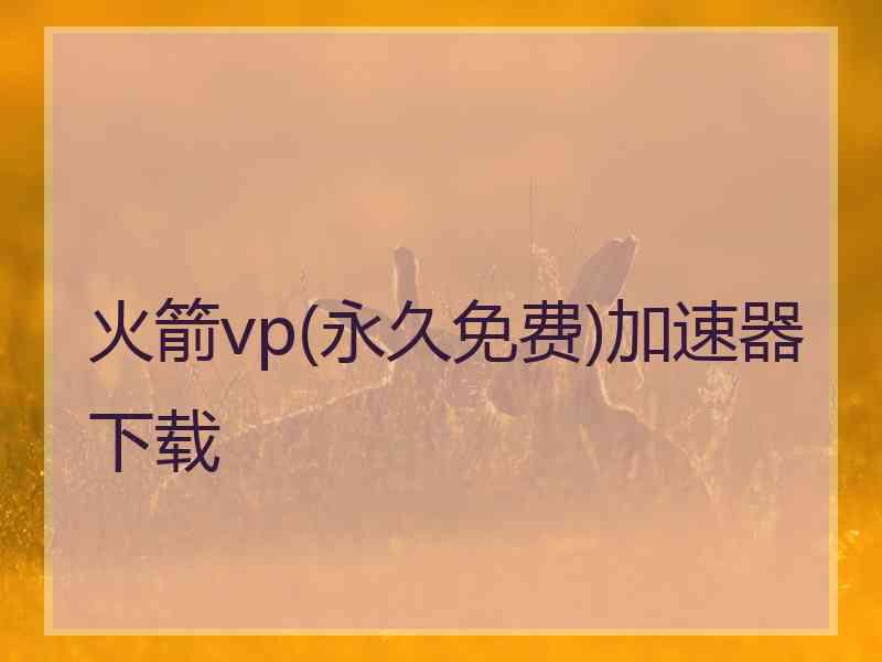 火箭vp(永久免费)加速器下载