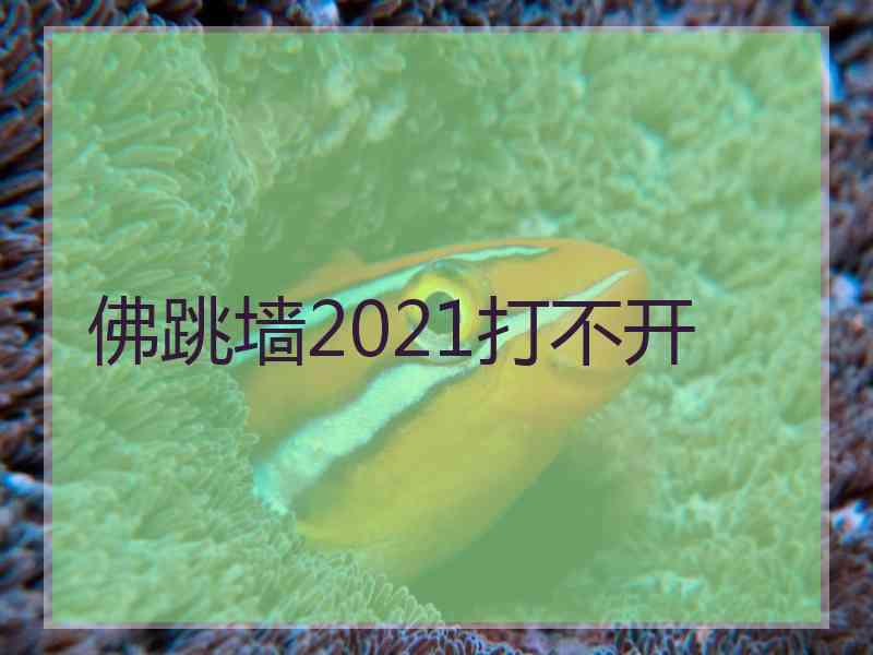 佛跳墙2021打不开