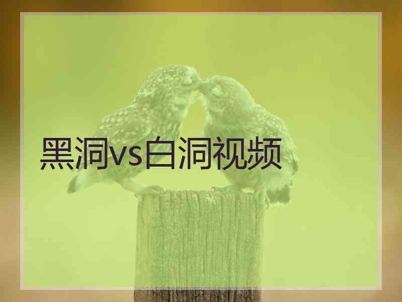 黑洞vs白洞视频