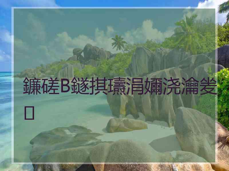 鐮磋В鐩掑瓙涓嬭浇瀹夎