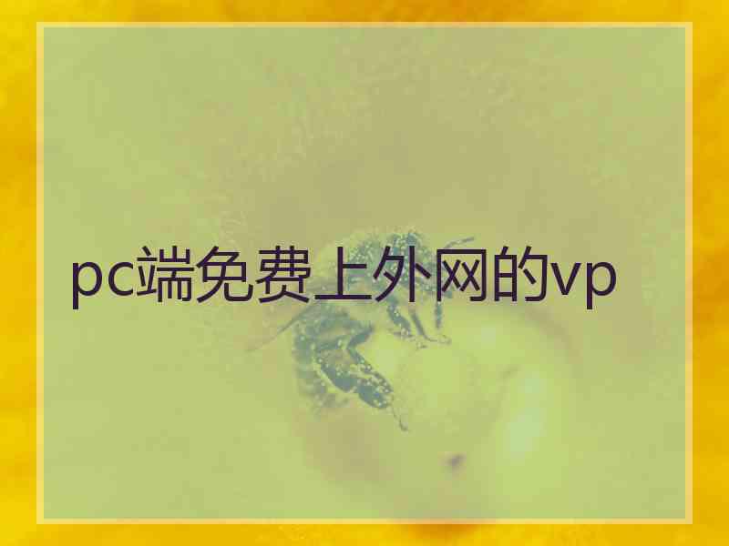 pc端免费上外网的vp