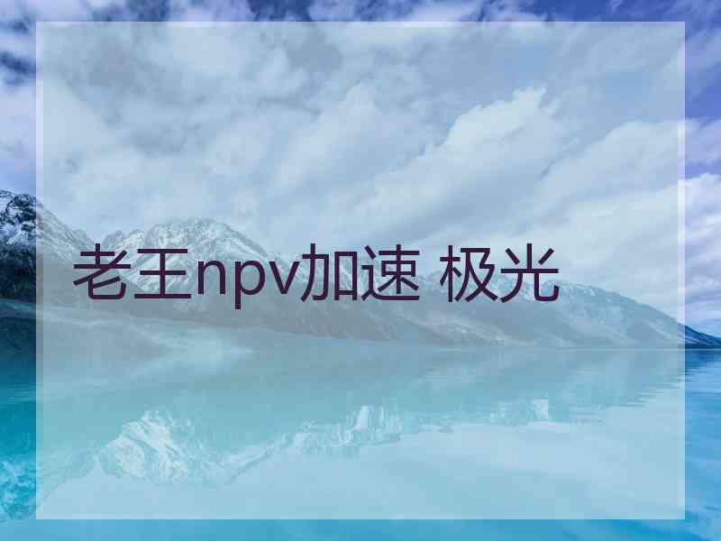 老王npv加速 极光