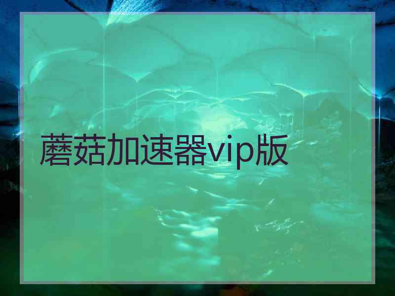 蘑菇加速器vip版