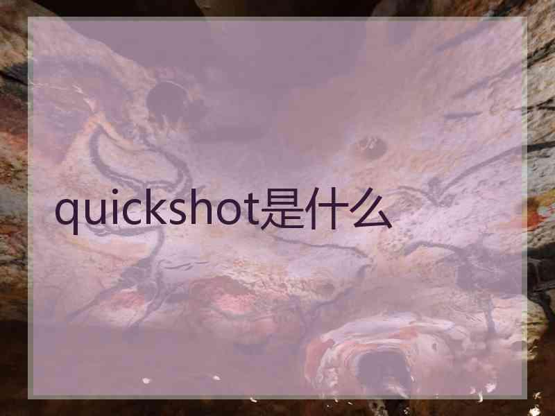 quickshot是什么