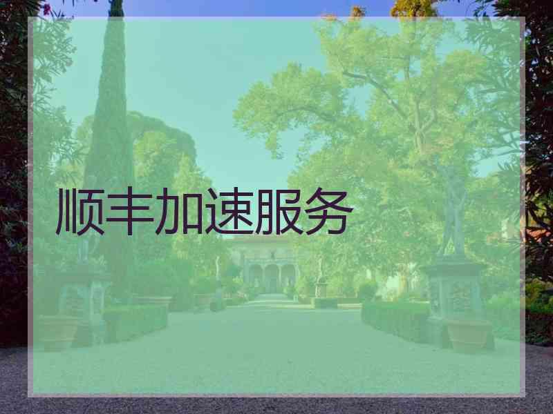 顺丰加速服务