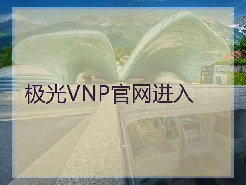 极光VNP官网进入