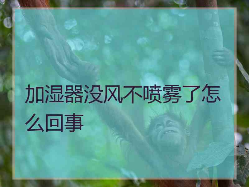 加湿器没风不喷雾了怎么回事