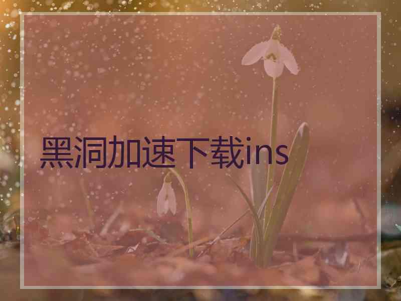 黑洞加速下载ins