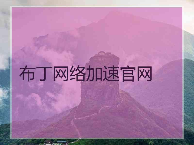 布丁网络加速官网