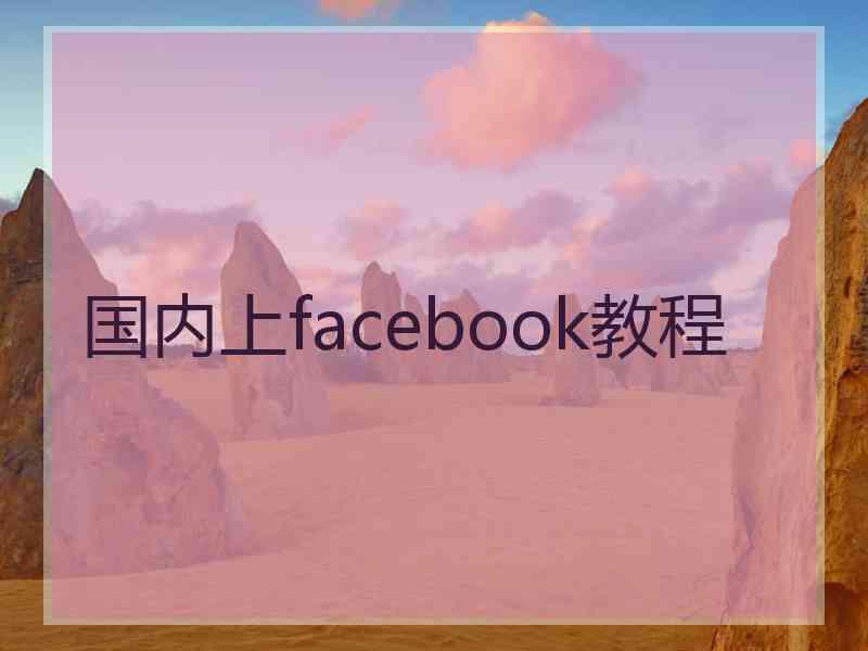 国内上facebook教程