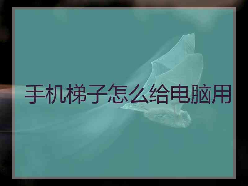 手机梯子怎么给电脑用