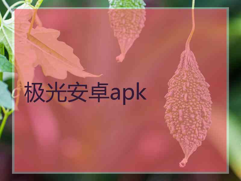 极光安卓apk