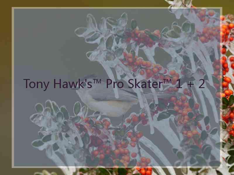 Tony Hawk's™ Pro Skater™ 1 + 2