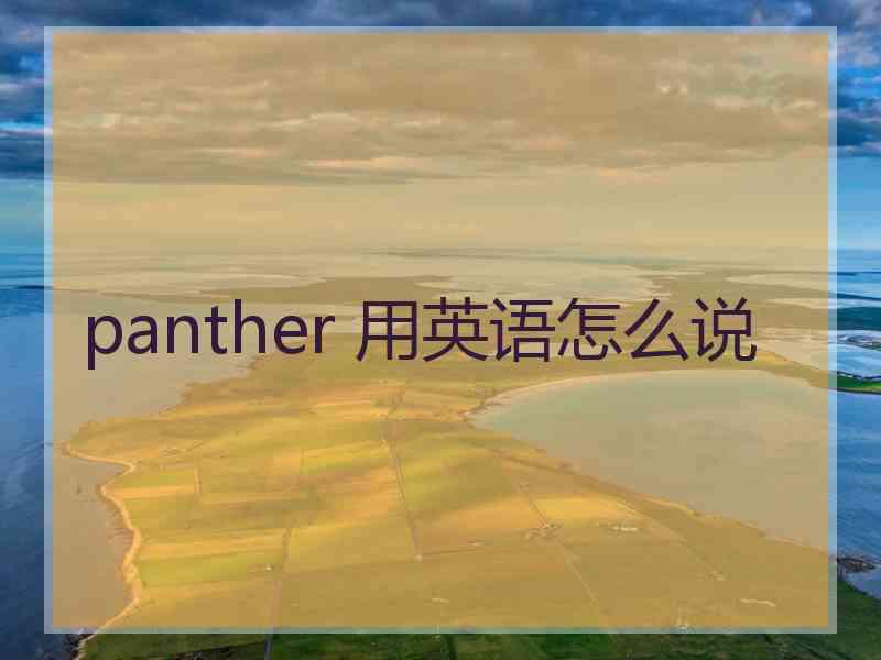 panther 用英语怎么说