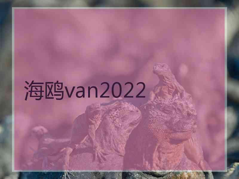 海鸥van2022